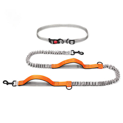 Skanto | Telescopic Double Handle Multifunctional Dog Leash