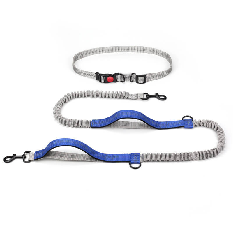 Skanto | Telescopic Double Handle Multifunctional Dog Leash
