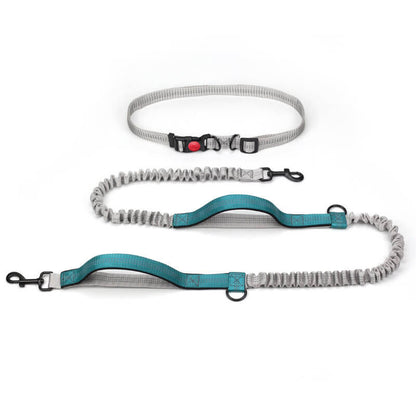 Skanto | Telescopic Double Handle Multifunctional Dog Leash