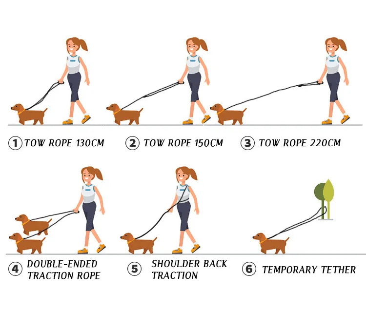FreedomLeash – Innovative Hands-Free Dog Leash Skanto