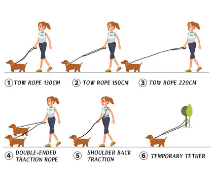 FreedomLeash – Innovative Hands-Free Dog Leash Skanto