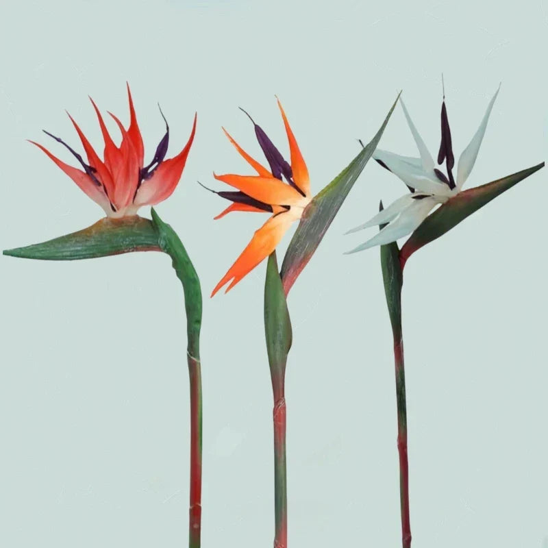 BowLift | Floriva 3 Piece Set Artificial Strelitzias | Bird of Paradise Flowers | 24.5 cm Long Stems | Decoration for Home, Office & Events