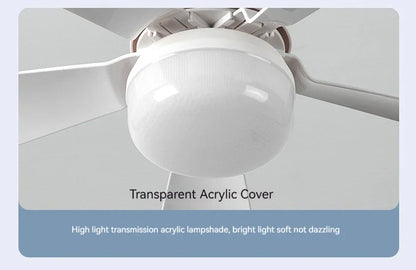 30W E27 Ceiling Fan Light with Remote Control - LED Dimming Function, Intelligent Quiet Fan for Bedroom & Living Room | Karnz