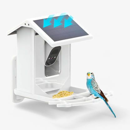 Skanto | Auxco | Smart Bird Feeder with 1080P HD Camera, AI Bird Recognition & Solar Charging