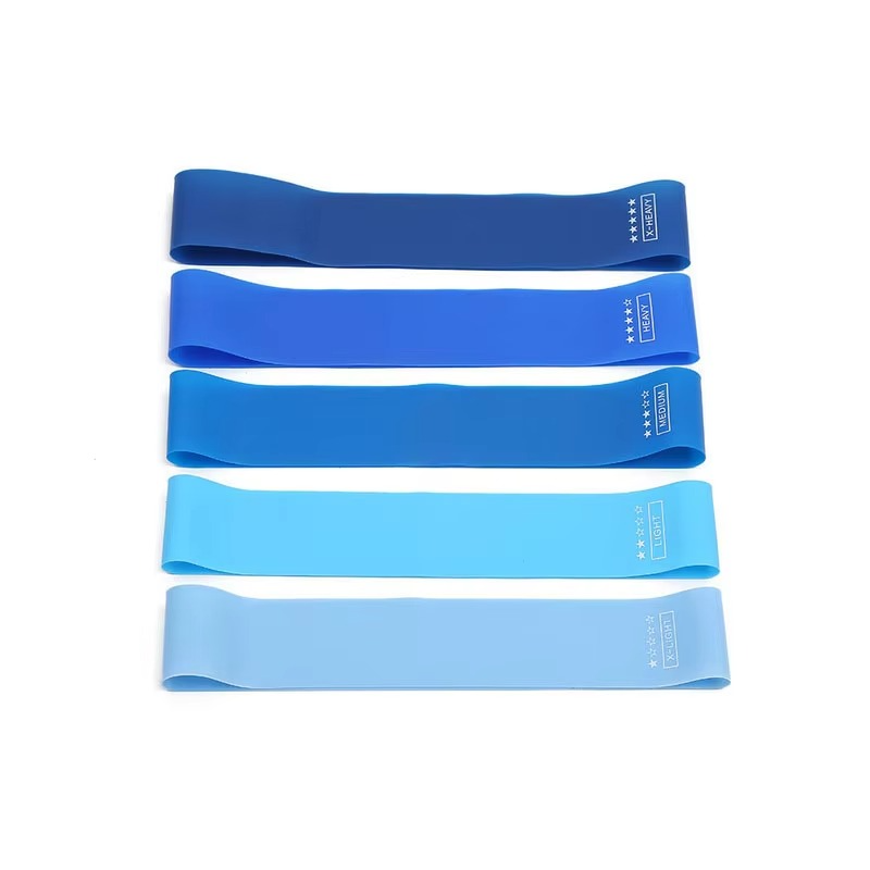 Skanto | Resistance Band Fitness Set for Strength Training and Full Body Workout