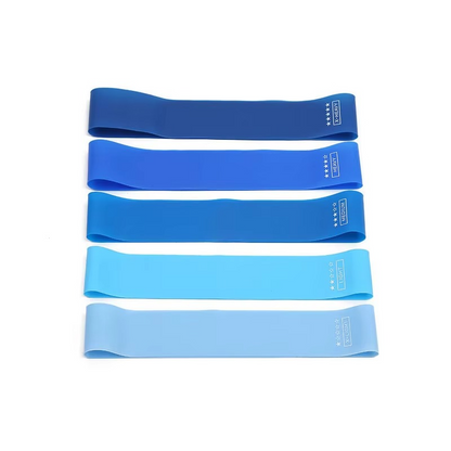 Skanto | Resistance Band Fitness Set for Strength Training and Full Body Workout