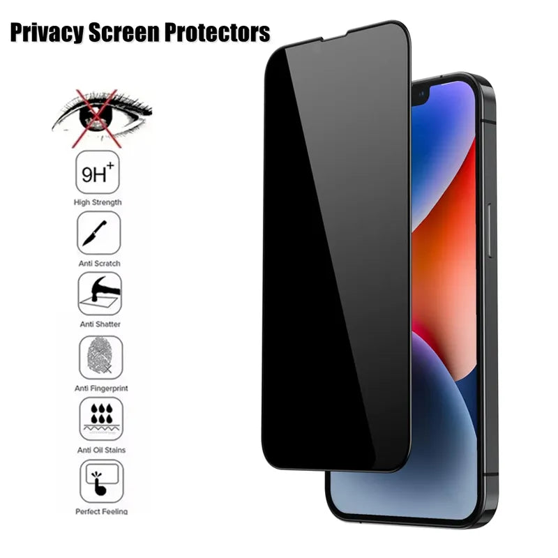 Sandsberg-Spy Armored Glass - iPhone