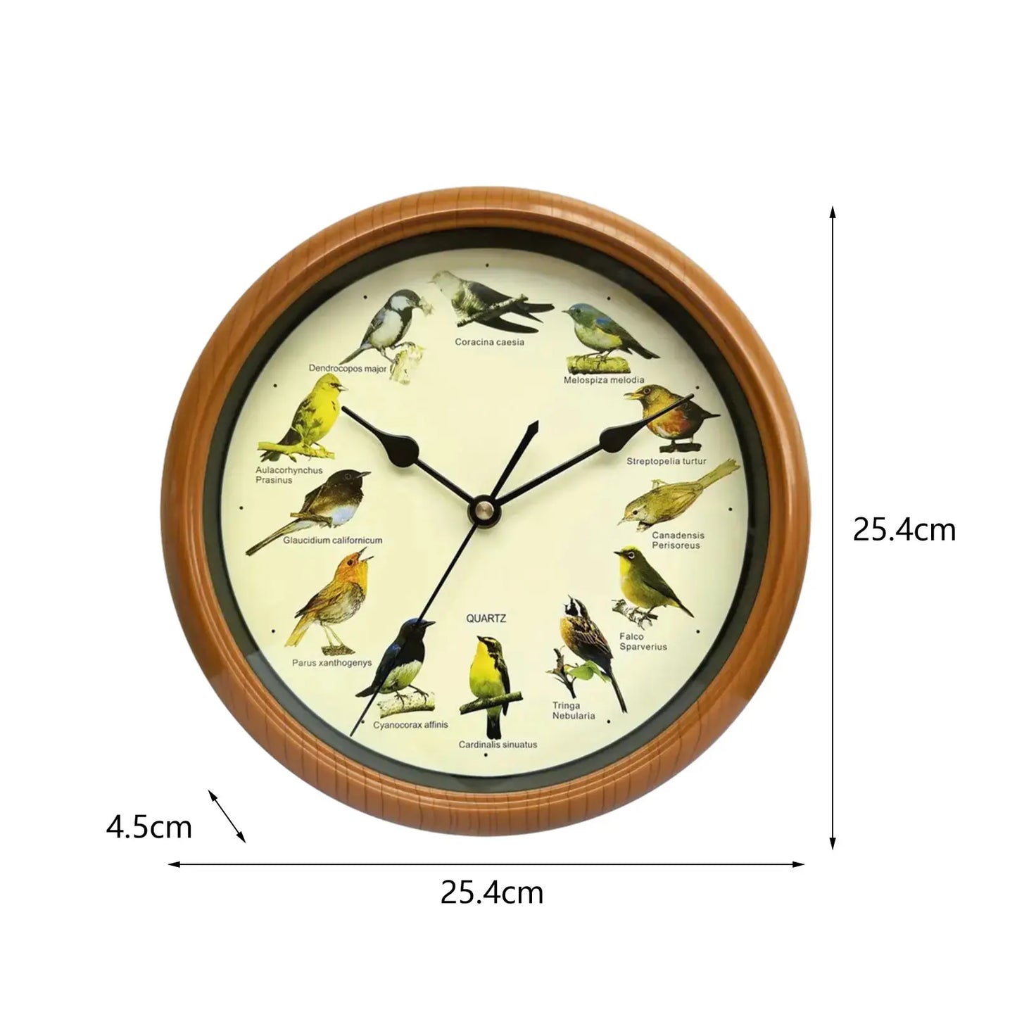 BirdSong Clock – 10 Inch Wall Clock for Stylish Interior Bowlift
