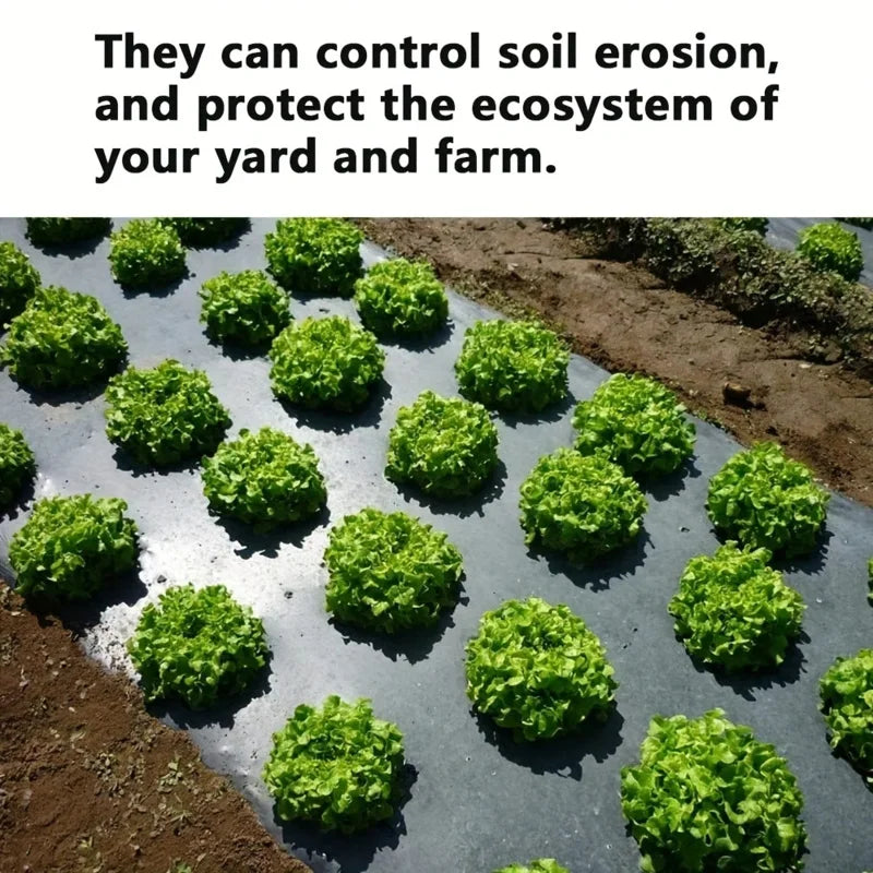 BowLift | AgroShield Weed Fabric | Black Mulch Film | Plant Protection & Yield Increase | Ideal for Greenhouses
