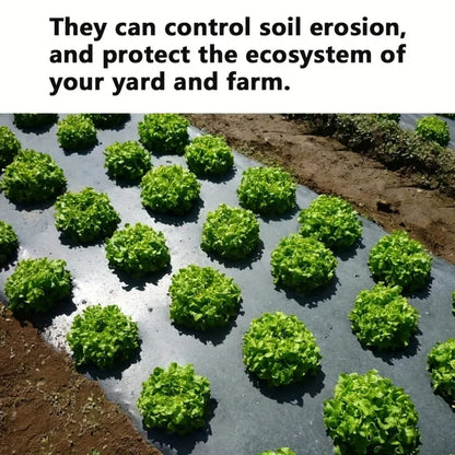 BowLift | AgroShield Weed Fabric | Black Mulch Film | Plant Protection & Yield Increase | Ideal for Greenhouses