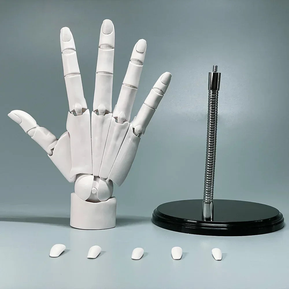 Multi-Pose Drawing Sculpting Art Hand Model | Bowlift