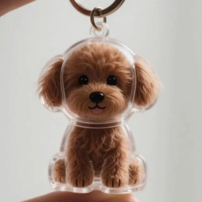 Transparent fur memory tag Bowlift