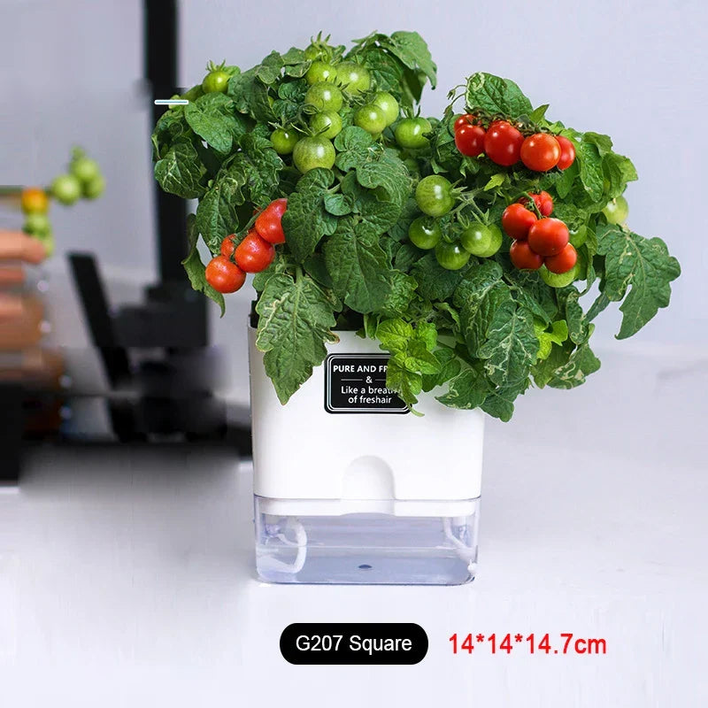 Skanto | BloomEase Plant Pot | Self-Watering & Space-Saving | With Water Level Indicator | For Indoor Plants & Herbs