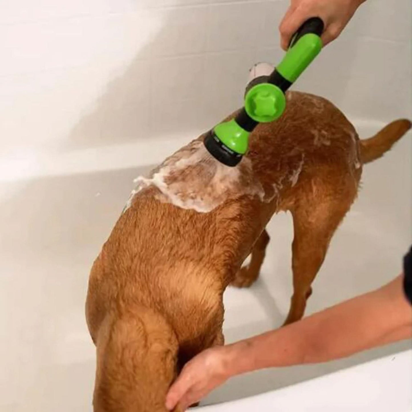 BowLift | Pet Bath Spray with All-Around Spray Function