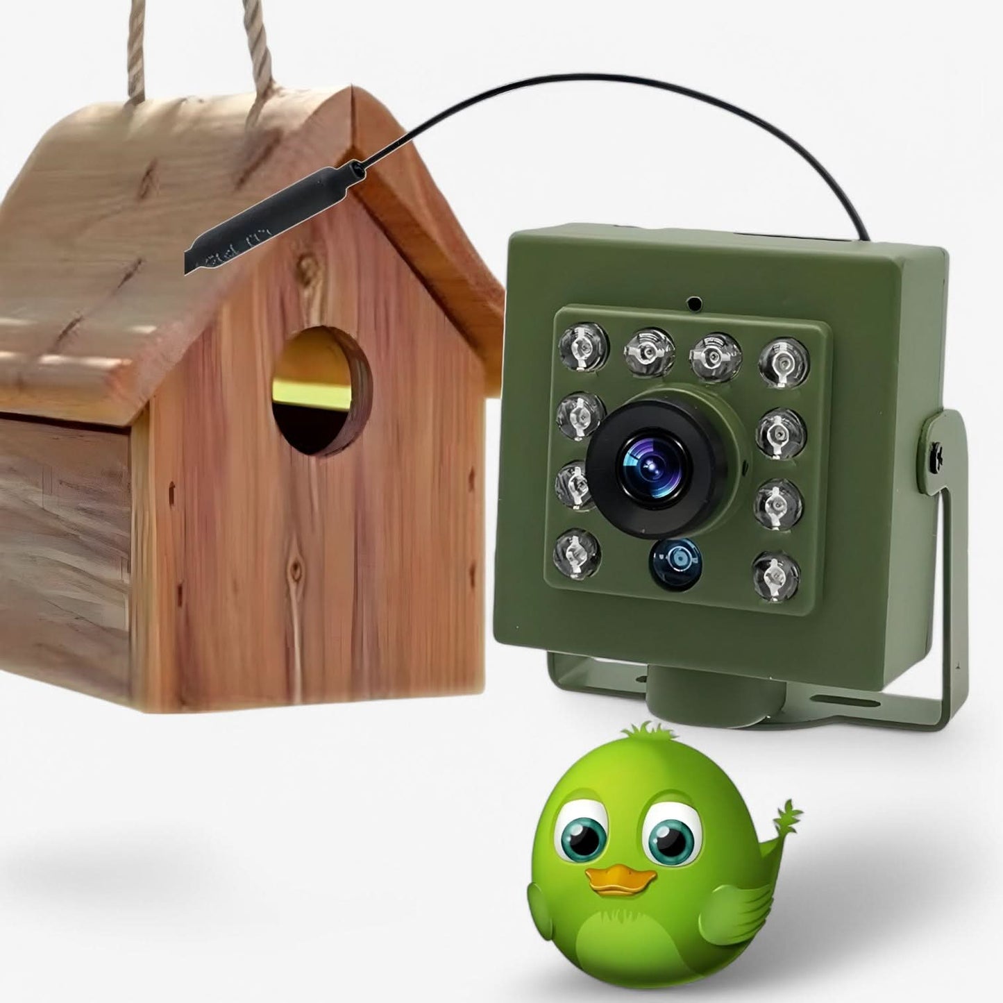 Skanto | 1080p HD & Weatherproof for Impressive Bird Watching