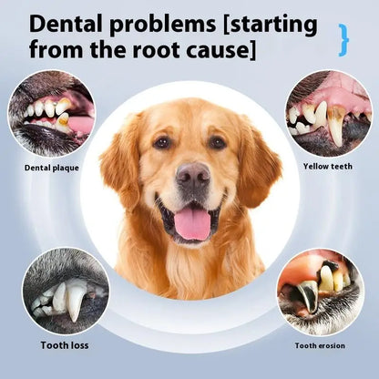 Skanto | DentoraSonic | Ultrasonic Dental Care Device for Dogs and Cats | 5-Level Tartar Remover | USB Charging