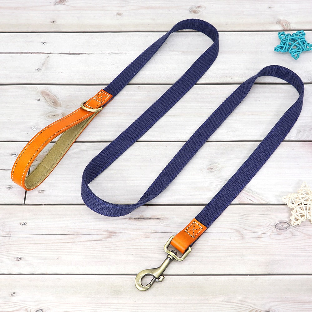 Skanto | Custom Dog Collar - Leash Set