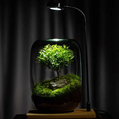 Micro Landscape Green Oasis Glass Vase | Karnz