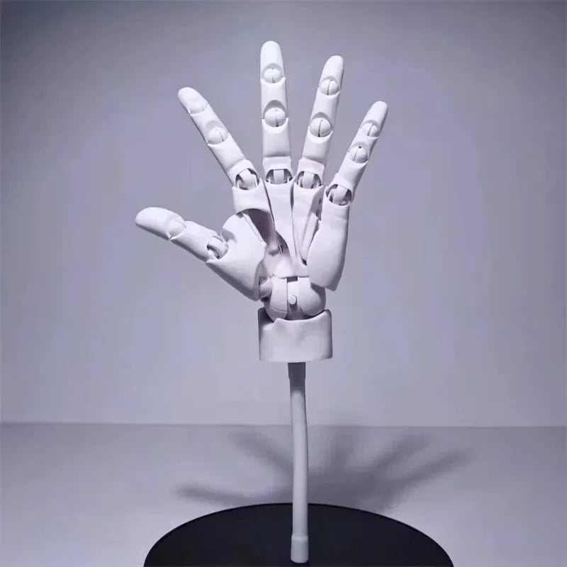 Multi-Pose Drawing Sculpting Art Hand Model | Bowlift