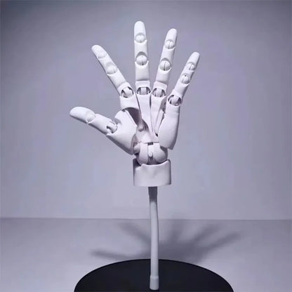 Multi-Pose Drawing Sculpting Art Hand Model | Bowlift