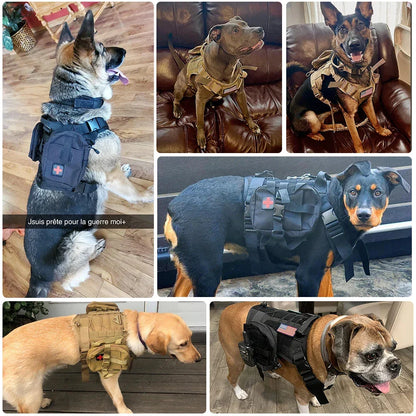 Skanto | Tactical Dog Harness With Leash – Robust Military Set For Training And Control