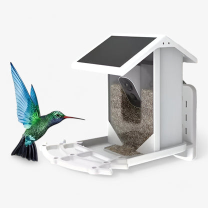 Skanto | Auxco | Smart Bird Feeder with 1080P HD Camera, AI Bird Recognition & Solar Charging