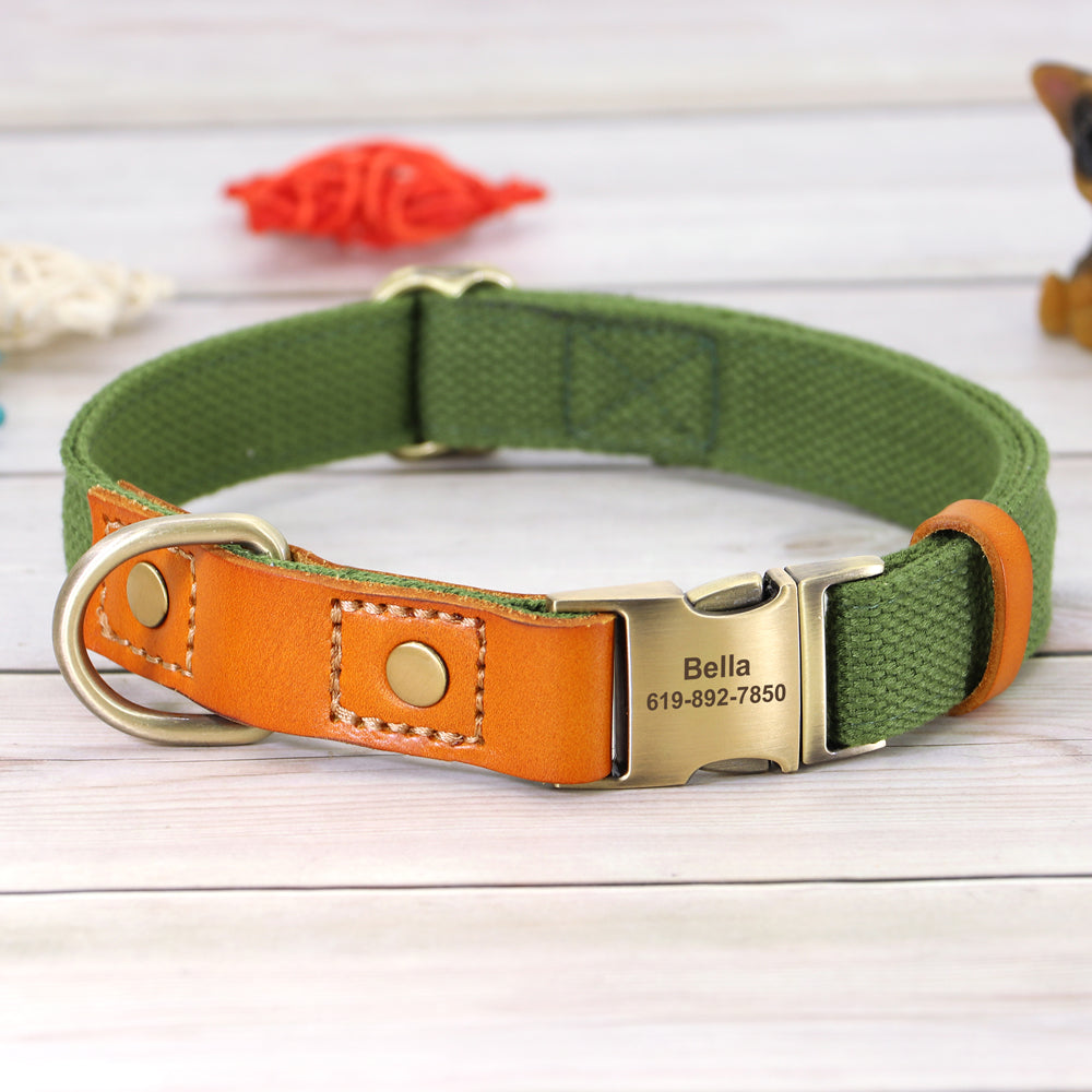 Skanto | Custom Dog Collar - Leash Set