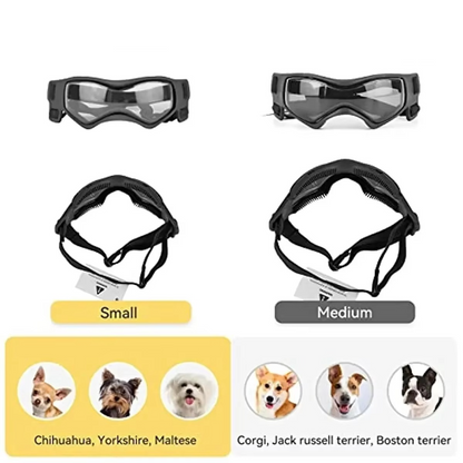 BowLift | Protective UV Sunglasses for Small Dogs with Adjustable Straps