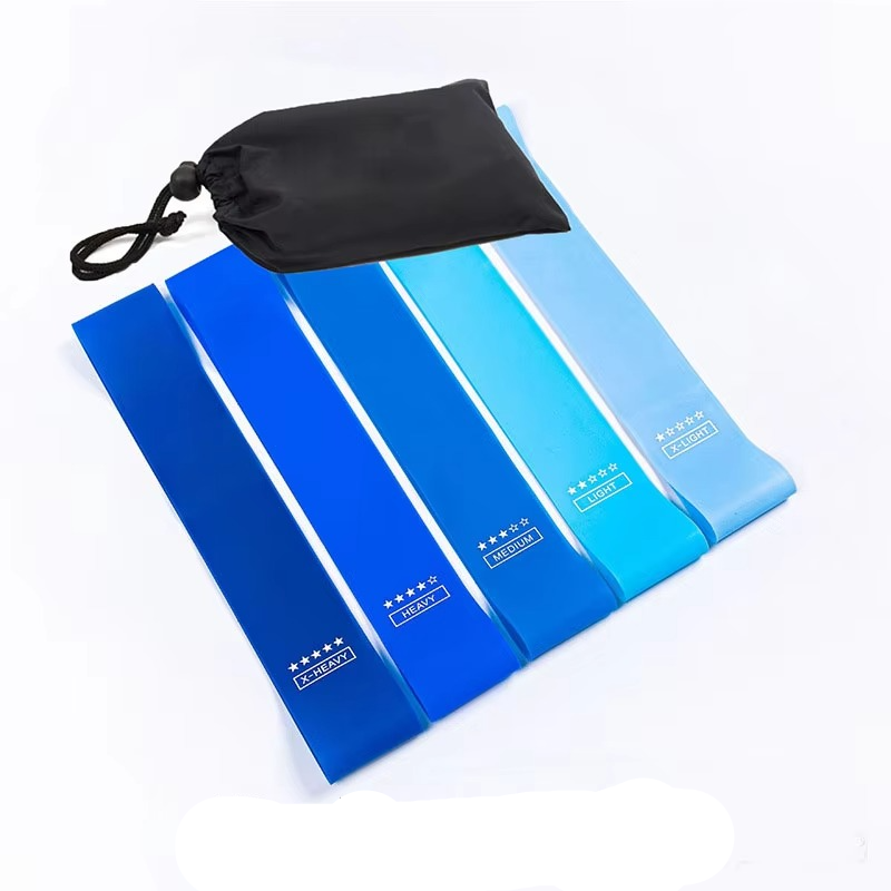 Skanto | Resistance Band Fitness Set for Strength Training and Full Body Workout