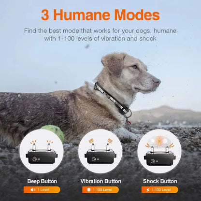 Rechargeable Electric Dog Training Collar with Remote & 1000m Range – PetControl Bowlift