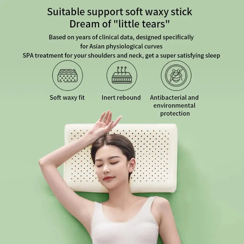 Skanto | Hypoallergenic Natural Latex Breathable Ergonomic Pillow