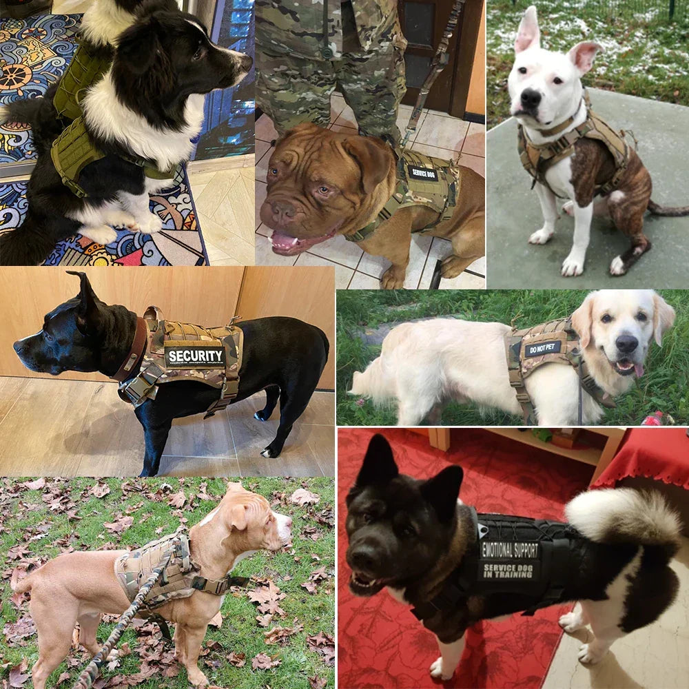 Skanto | Tactical Dog Harness With Leash – Robust Military Set For Training And Control