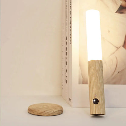 Magnetic LED Motion Sensor Night Light