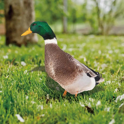 DuoDuck Realistic Double-Sided Gray Feather Sculpture Bowlift
