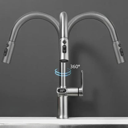 Skanto | Pull-out Kitchen Faucet with Digital Display and Swivel Spout