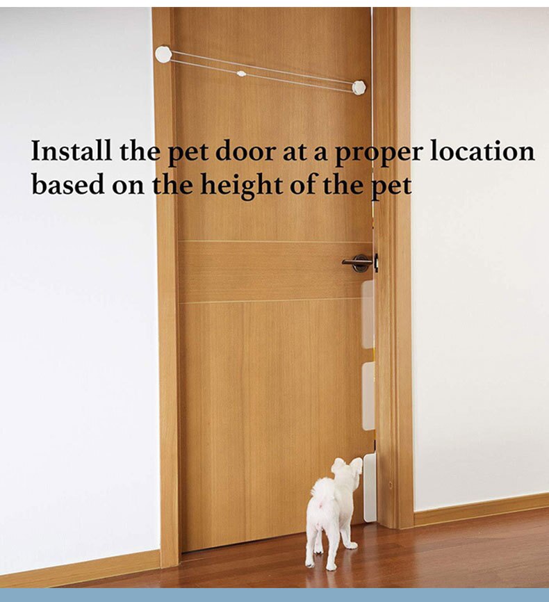 BowLift | Safety Way Automatic Pet Door Opener