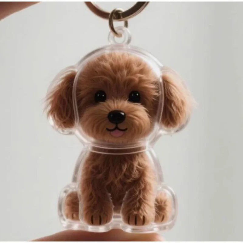 Transparent fur memory tag Bowlift