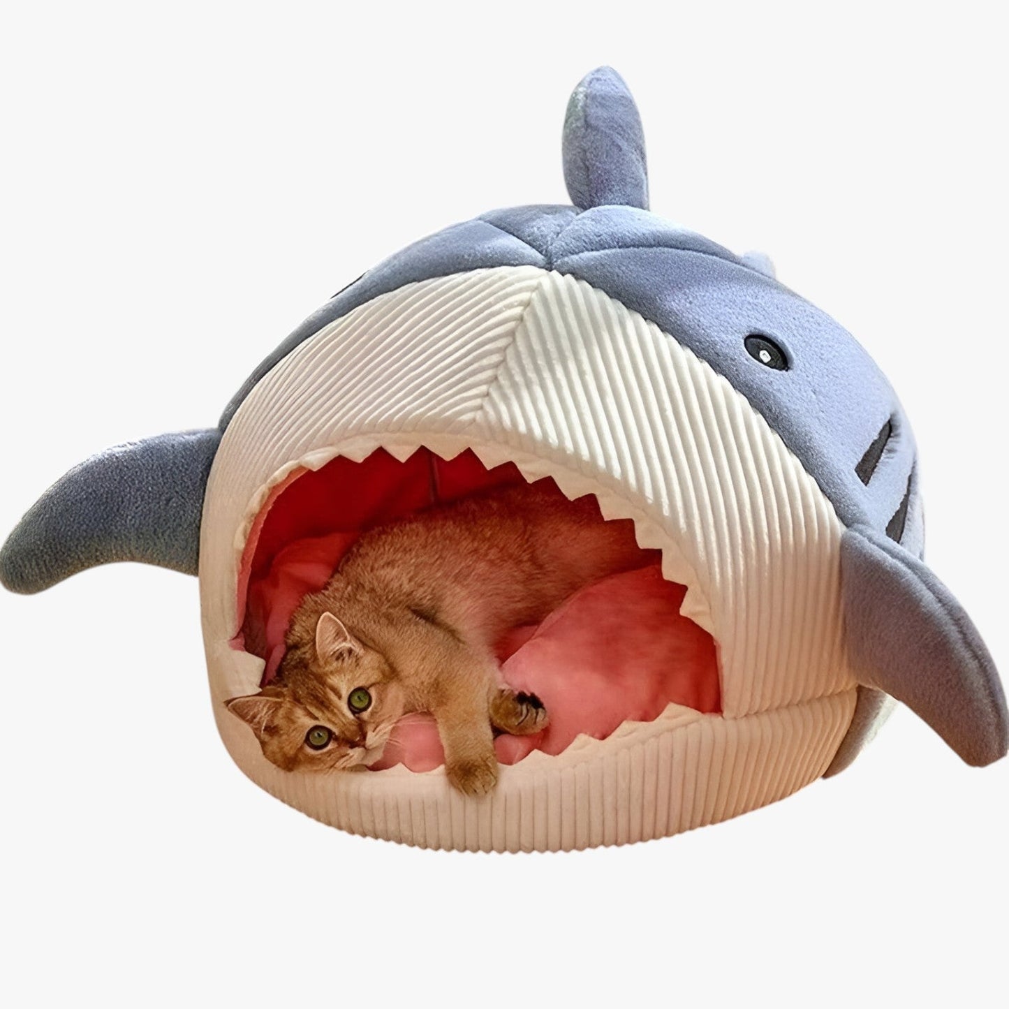 BowLift | SoftBloom Shark Cat Bed – Cozy Hideaway for Indoor