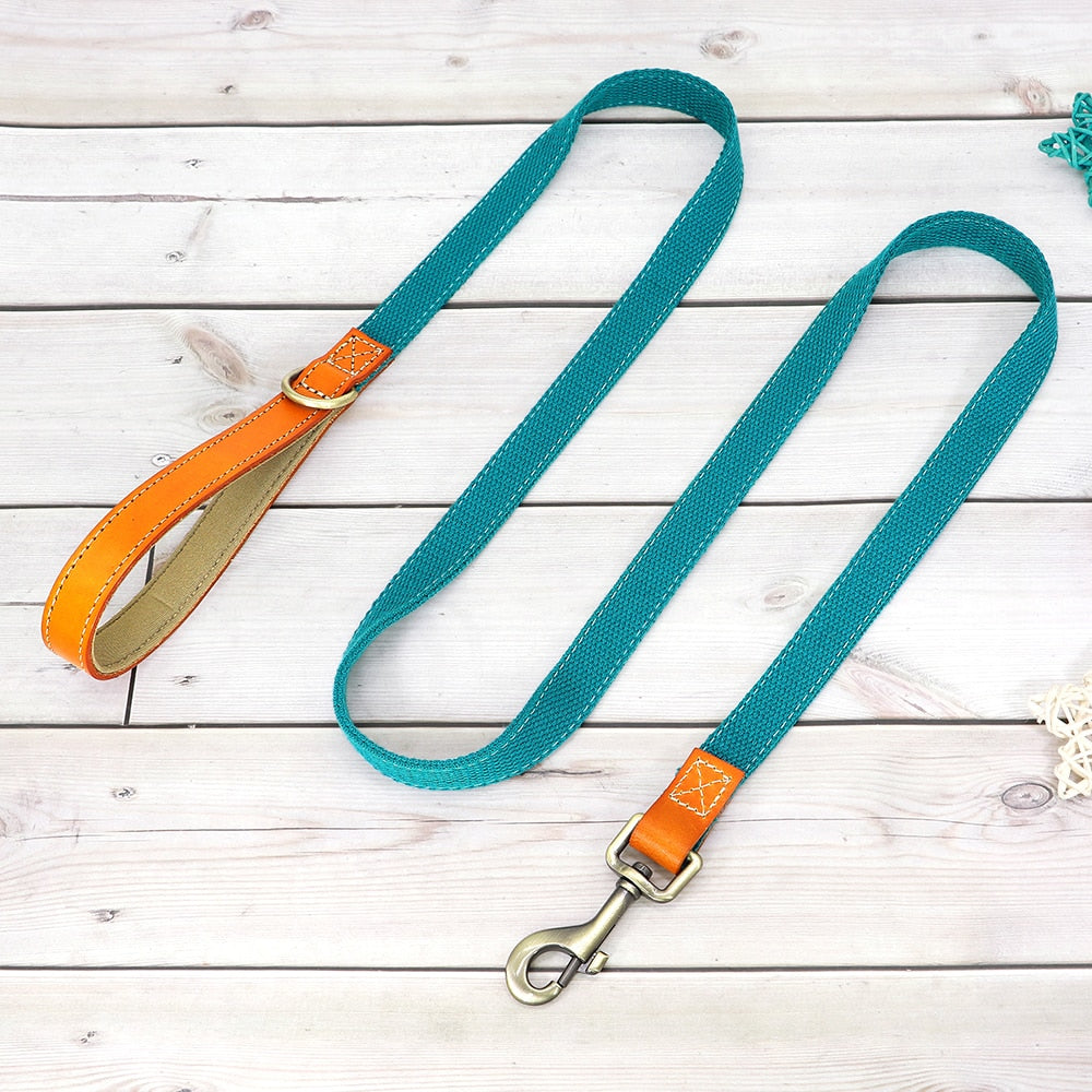 Skanto | Custom Dog Collar - Leash Set