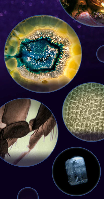 BowLift | Portable HD Optical Adventure Microscope