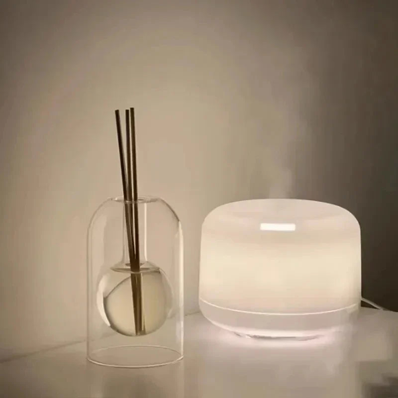 Glass Hollow Aromatic Diffuser Bowlift