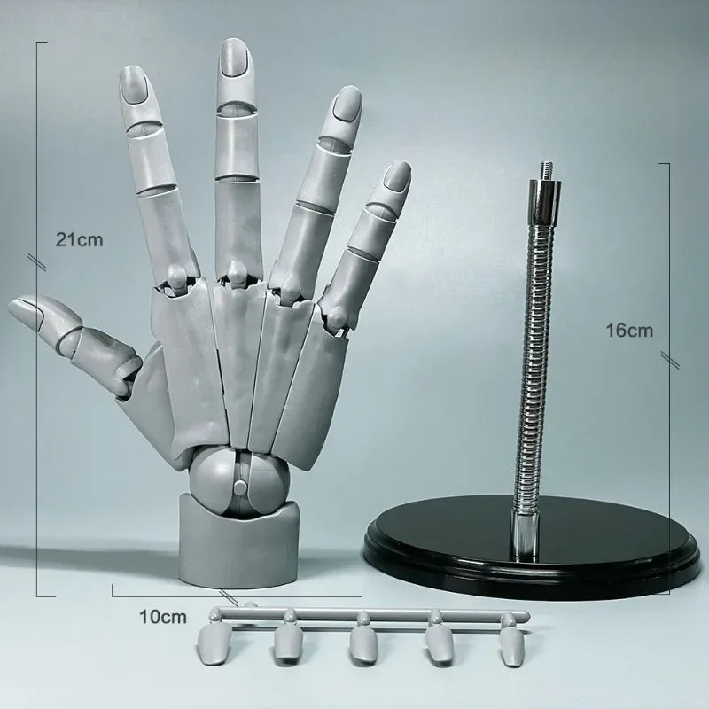 Multi-Pose Drawing Sculpting Art Hand Model | Bowlift