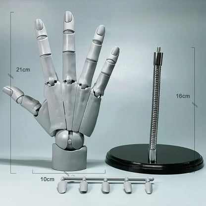 Multi-Pose Drawing Sculpting Art Hand Model | Bowlift
