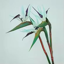 BowLift | Floriva 3 Piece Set Artificial Strelitzias | Bird of Paradise Flowers | 24.5 cm Long Stems | Decoration for Home, Office & Events