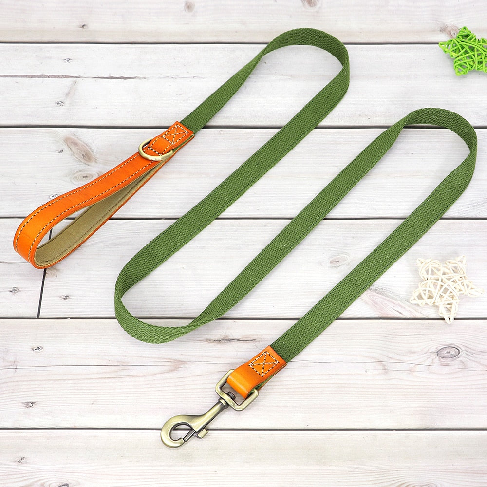 Skanto | Custom Dog Collar - Leash Set