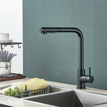 FlexiJet Black extendable kitchen faucet Bowlift