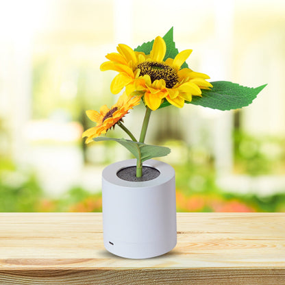 BowLift | Sunflower Lamp - Wireless Sunflower lamps