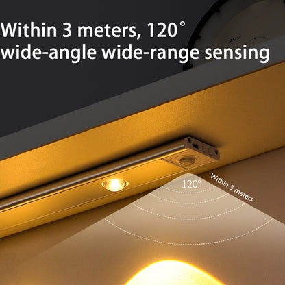 Skanto Skanto | Overnight Sensor Light | Today 1+1 Free