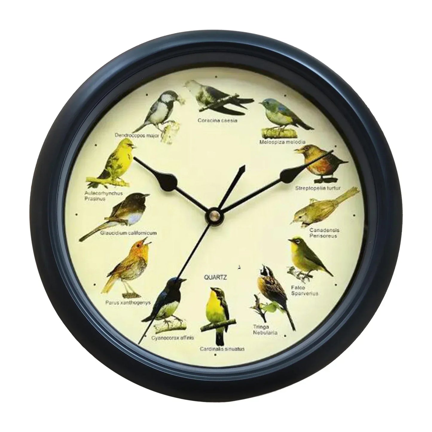 BirdSong Clock – 10 Inch Wall Clock for Stylish Interior Bowlift