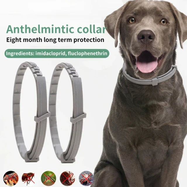 Sandsberg - Anti Tick Collar